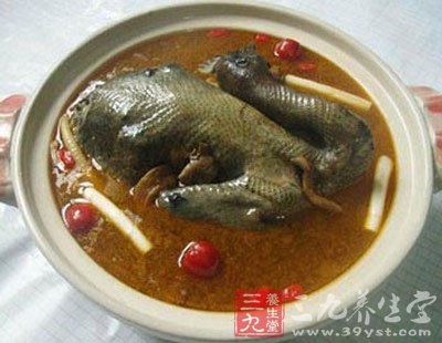 吃烏雞湯補血活血