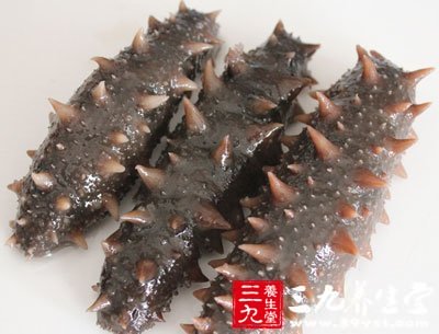 海參的功效與作用