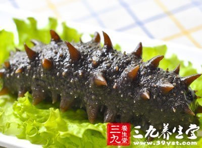 海參的功效與作用