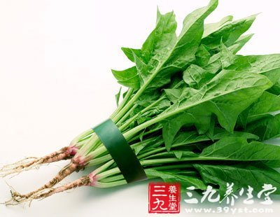 如何減肥 多吃菠菜