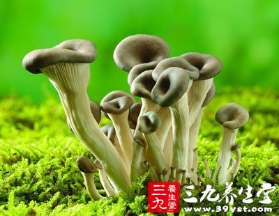 蘑菇的功效與作用