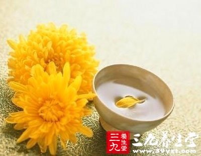 血虛吃丹參菊花茶
