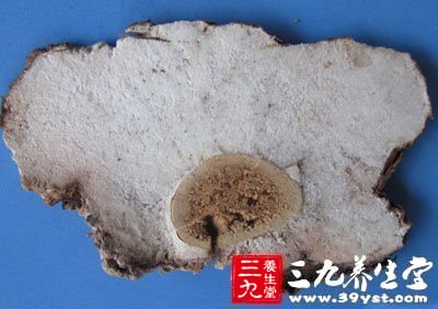 茯苓既是中藥更是夏季養生必備食物