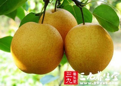 梨是降火水果