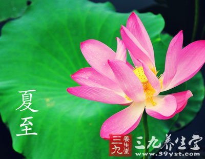 夏至是什麼意思