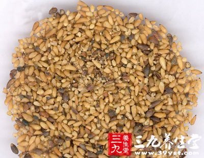 補腎的食物有柏子仁