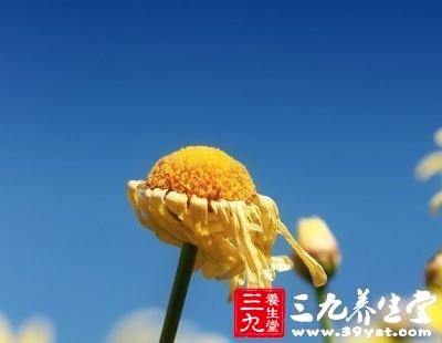 如何養肝護肝