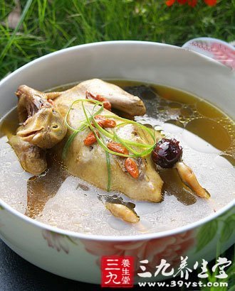 補血食譜 清炖乳鴿
