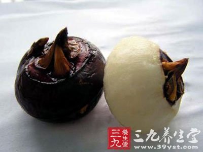 荸荠清熱生津化濕祛痰
