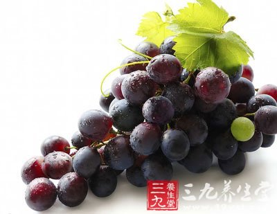 葡萄補肝腎益氣血生津液