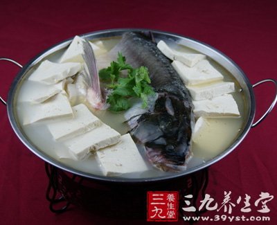 絲瓜豆腐魚頭湯