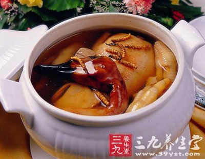蟲草全鴨湯