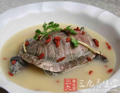 芪杜薏米烏龜湯