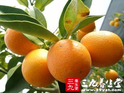 金桔的選購原則