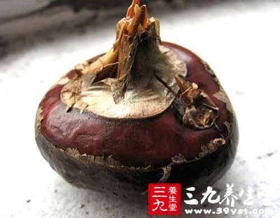 蓮子所含的氧化黃心樹寧鹼有抑制鼻咽癌的作用