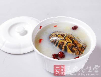冬蟲夏草炖甲魚