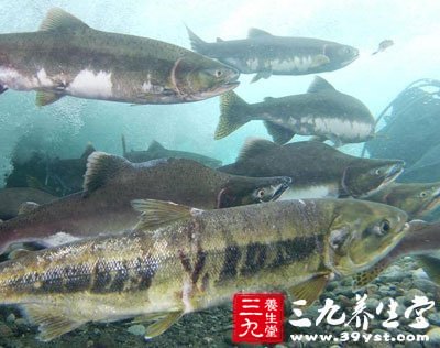 吃對食物30歲變20歲 4食譜助你容顏永駐