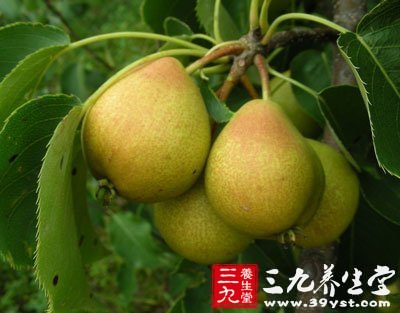 秋季將至吃哪些東西最滋補