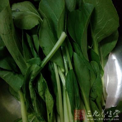 吃青菜對於眼睛的重要性,絲毫不遜色於吃藍莓 吃青菜對於眼睛的重要性,絲毫不遜色於吃藍莓