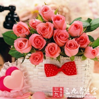 鮮月季花