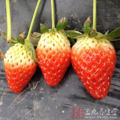 草莓、杏子、荔枝、桃子