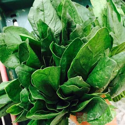 將菠菜洗淨，在沸水中燙一下