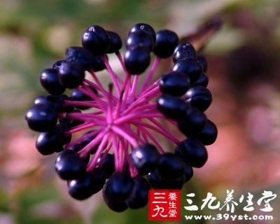 女人常吃6補腎養顏粥 紅潤氣色自然來