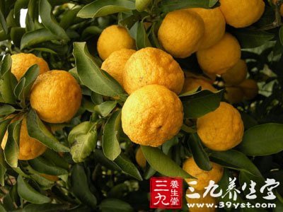 佛手丸的制作