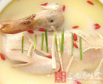 夏季養生食譜 沙參百合老鴨湯