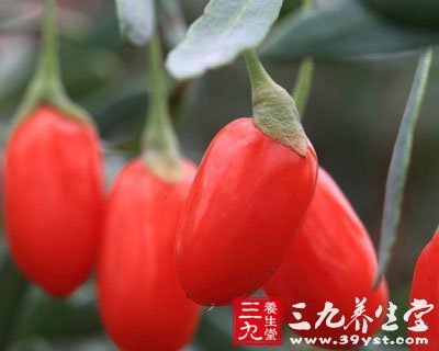 枸杞補血養腎 薦5枸杞營養食譜