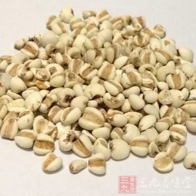 優格一盒、薏仁100克
