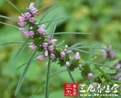 八豆漿食譜 助女人補虛健體養出好氣色