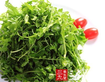 春季荠菜分外香 六大食譜功效高