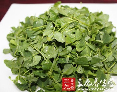 春季荠菜分外香 六大食譜功效高