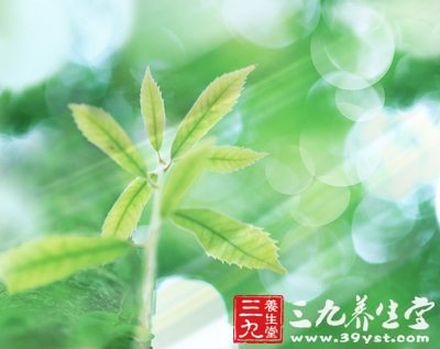 紅樓夢裡賈母與湘雲進補食譜大推薦