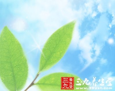 紅樓夢裡賈母與湘雲進補食譜大推薦