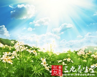 紅樓夢裡賈母與湘雲進補食譜大推薦