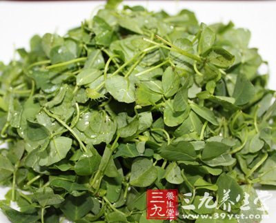 春季野菜最養人 薦8道野菜養生食譜