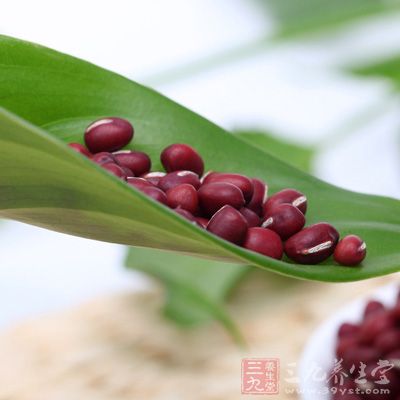 紅豆有清心養神、健脾益腎功效