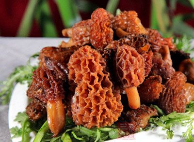 羊肚菌是一種野生珍貴菌 羊肚菌是一種野生珍貴菌