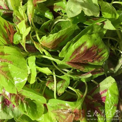 綠色蔬菜、深黃或橙色的蔬果