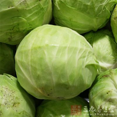 卷心菜能除邪熱、解勞乏