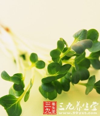減肥新吃法 綠豆牙營養餐一周瘦不停