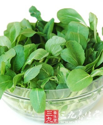 活血化瘀防潰瘍 推薦3款油菜養生食譜