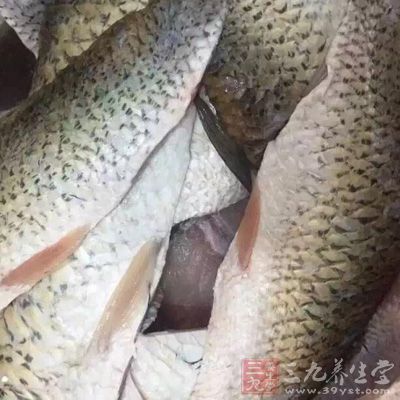 水量是魚肉分量的2倍左右