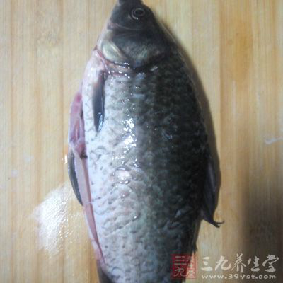 水芹菜200克、鲫魚1條(約1斤)、姜少許 水芹菜200克、鲫魚1條(約1斤)、姜少許