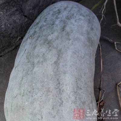 冬瓜含Vc較多，且鉀含量高，鈉鹽含量低