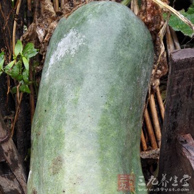 冬瓜性涼，不宜生食