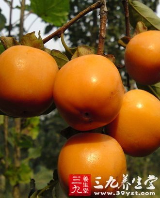 2大柿子食譜 有效止咳防感冒