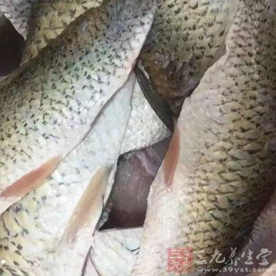 攝入學習所需腦力勞動需要的蛋白質